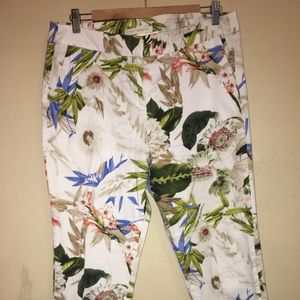 Saint tropez west pants